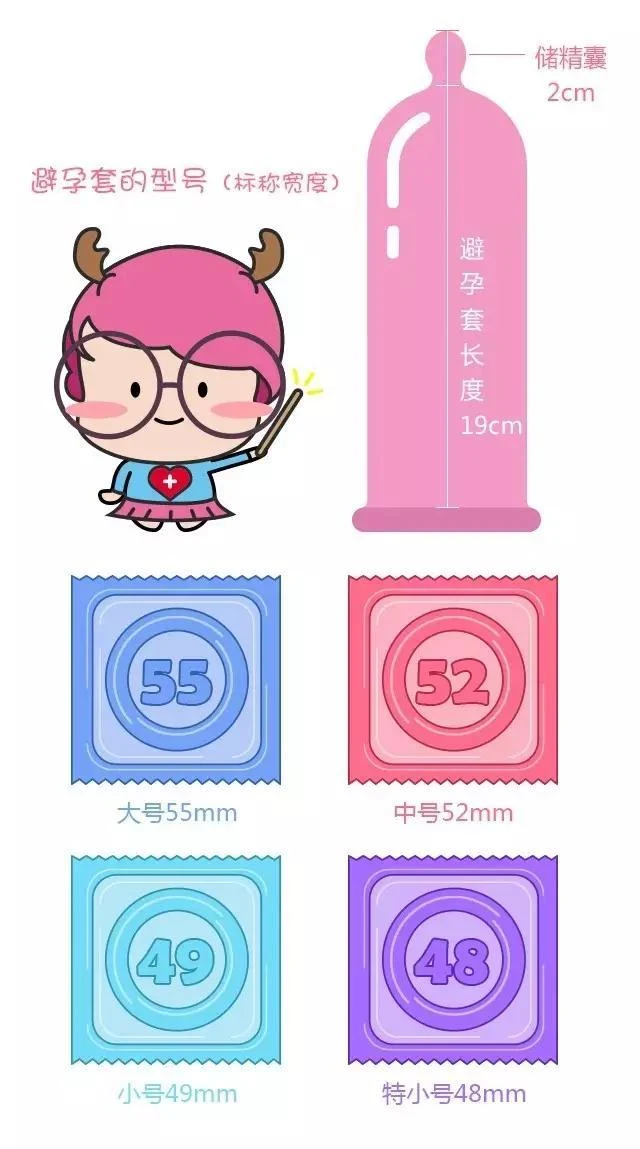 避孕套尺寸对照图 储精囊2cm 避孕套长度19cm 55mm 52mm 49mm 48mm