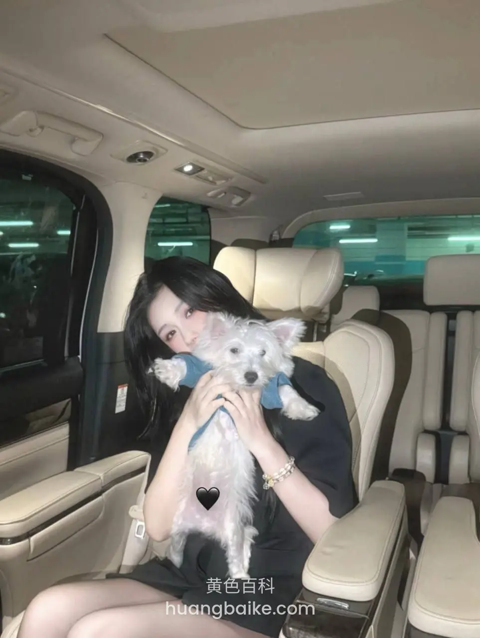 车后座抱着小狗