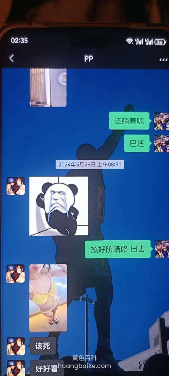 聊天界面截图，里面有熊猫头表情和文字