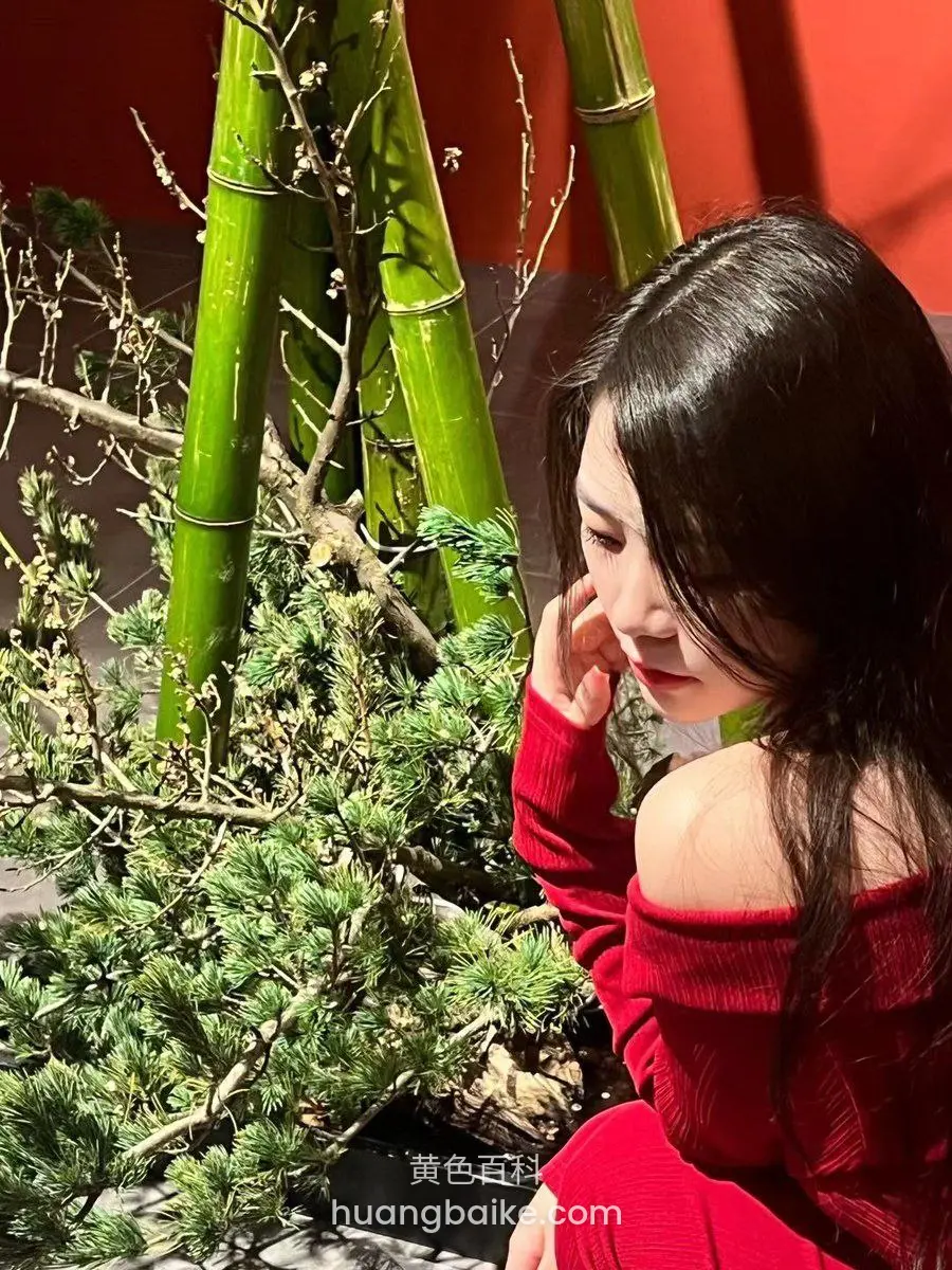竹林前盆栽边，侧脸看着镜头