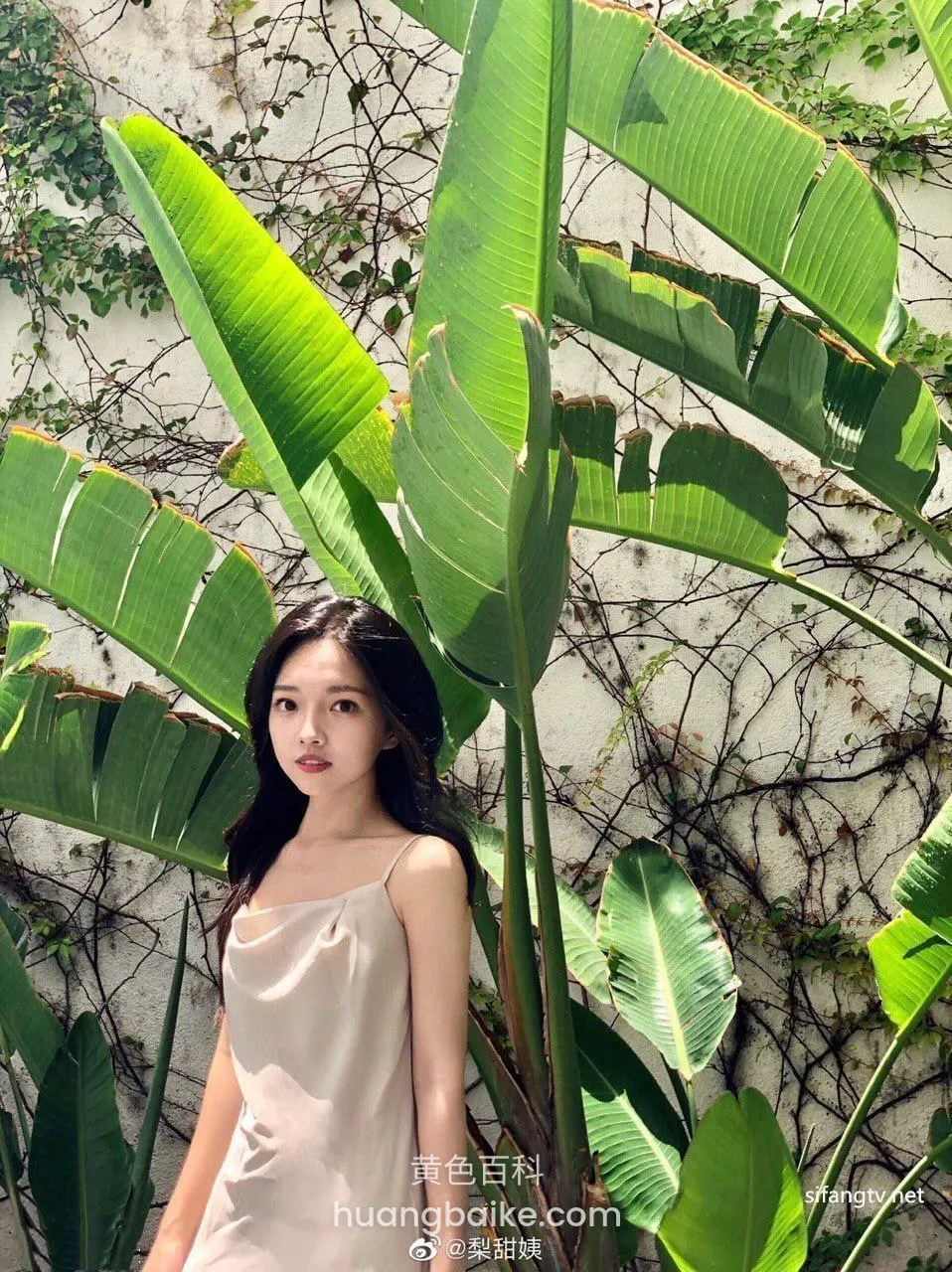 大叶子植物前站立