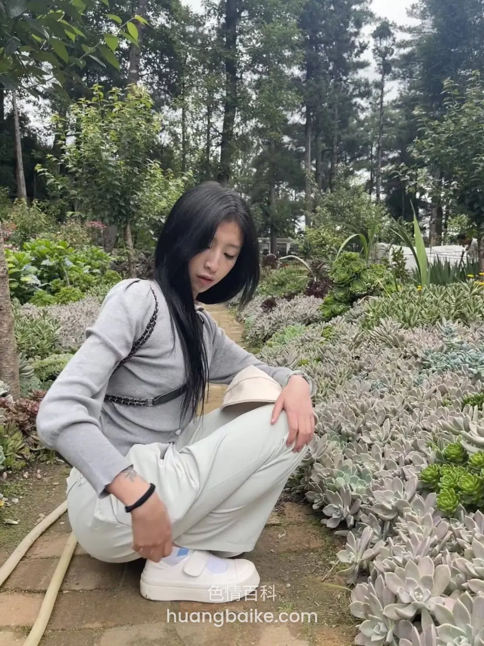 花园里蹲在多肉植物边