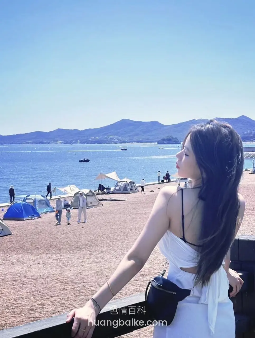 海滩栏杆，斜靠着望向远处船