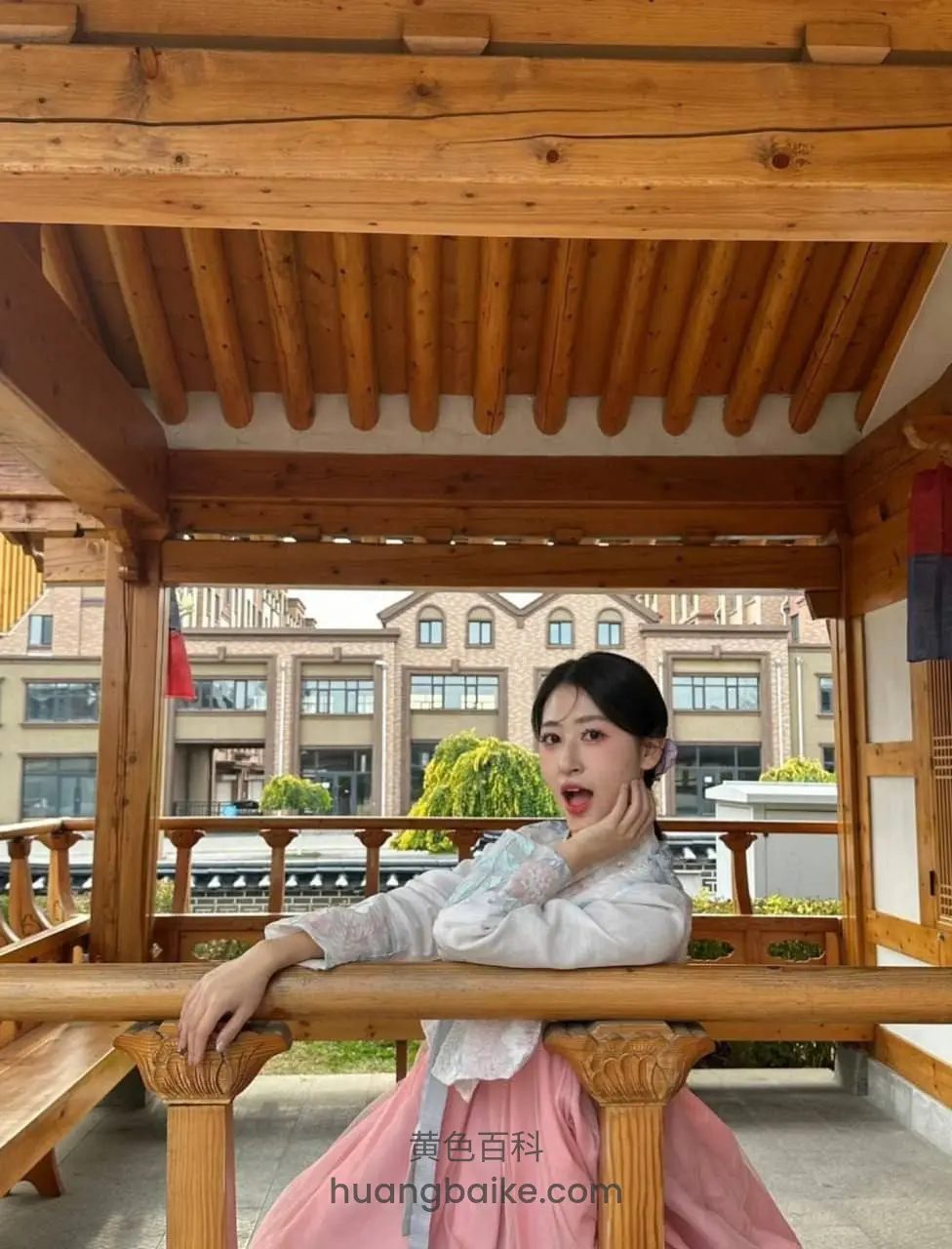 木亭子里靠栏杆