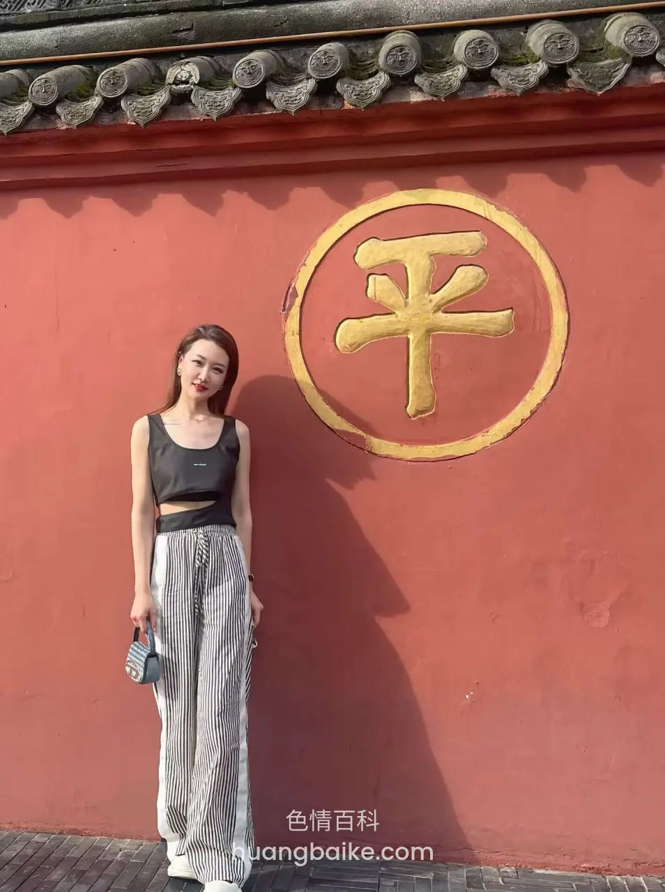 红墙前站立，身后大金平字