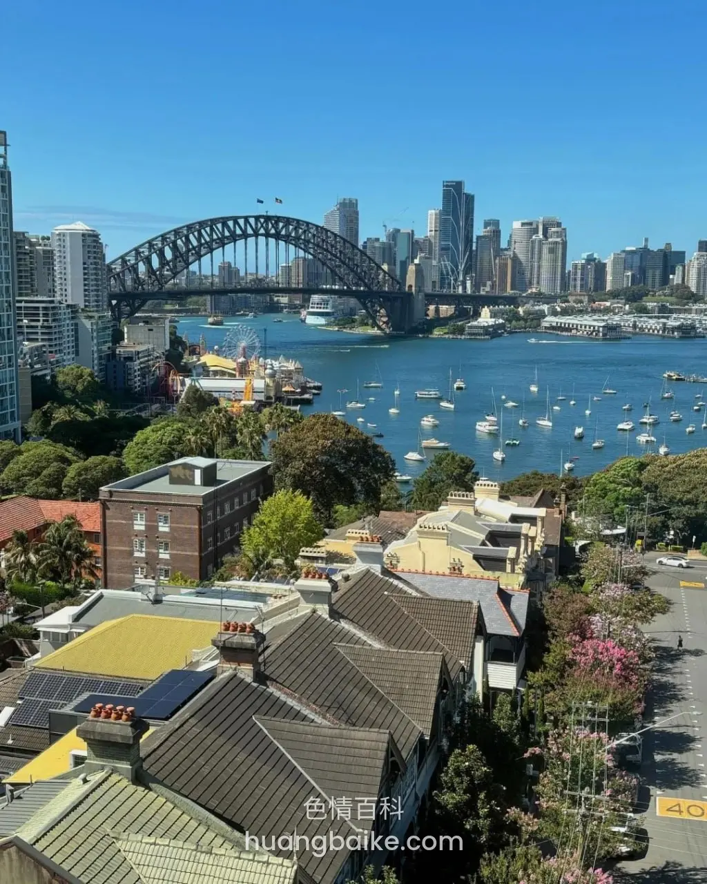 悉尼海港大桥城市全景，从屋顶往下看帆船