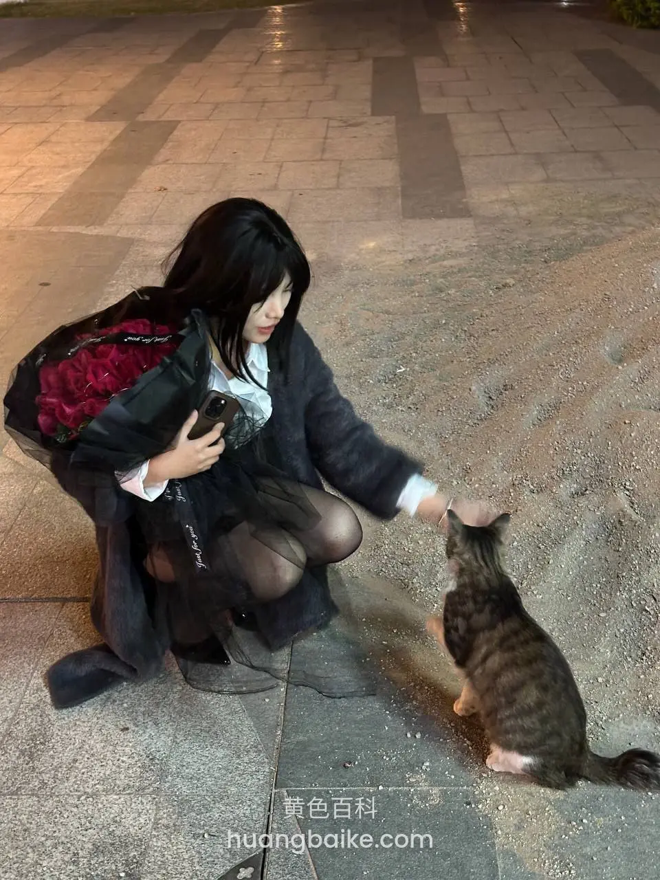 夜里广场蹲着伸手摸猫，旁边放着一束玫瑰花