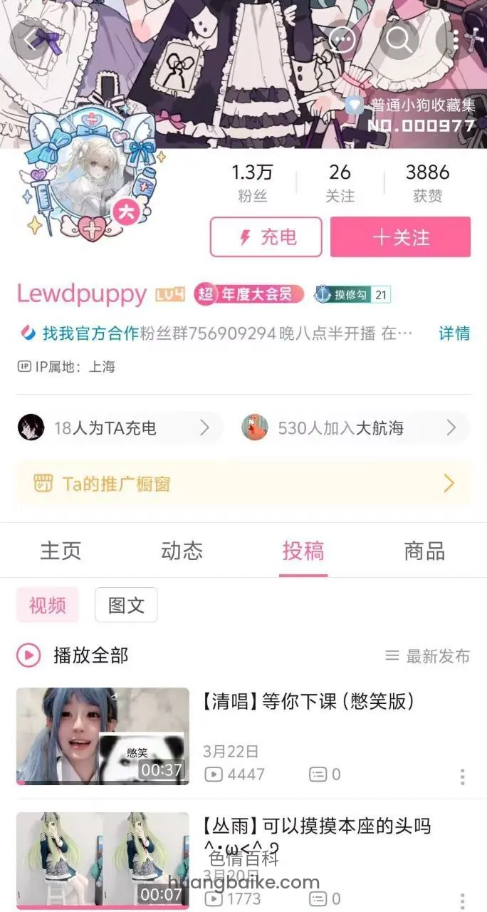 B站个人主页投搞tab，Lewdpuppy头像和粉丝数据
