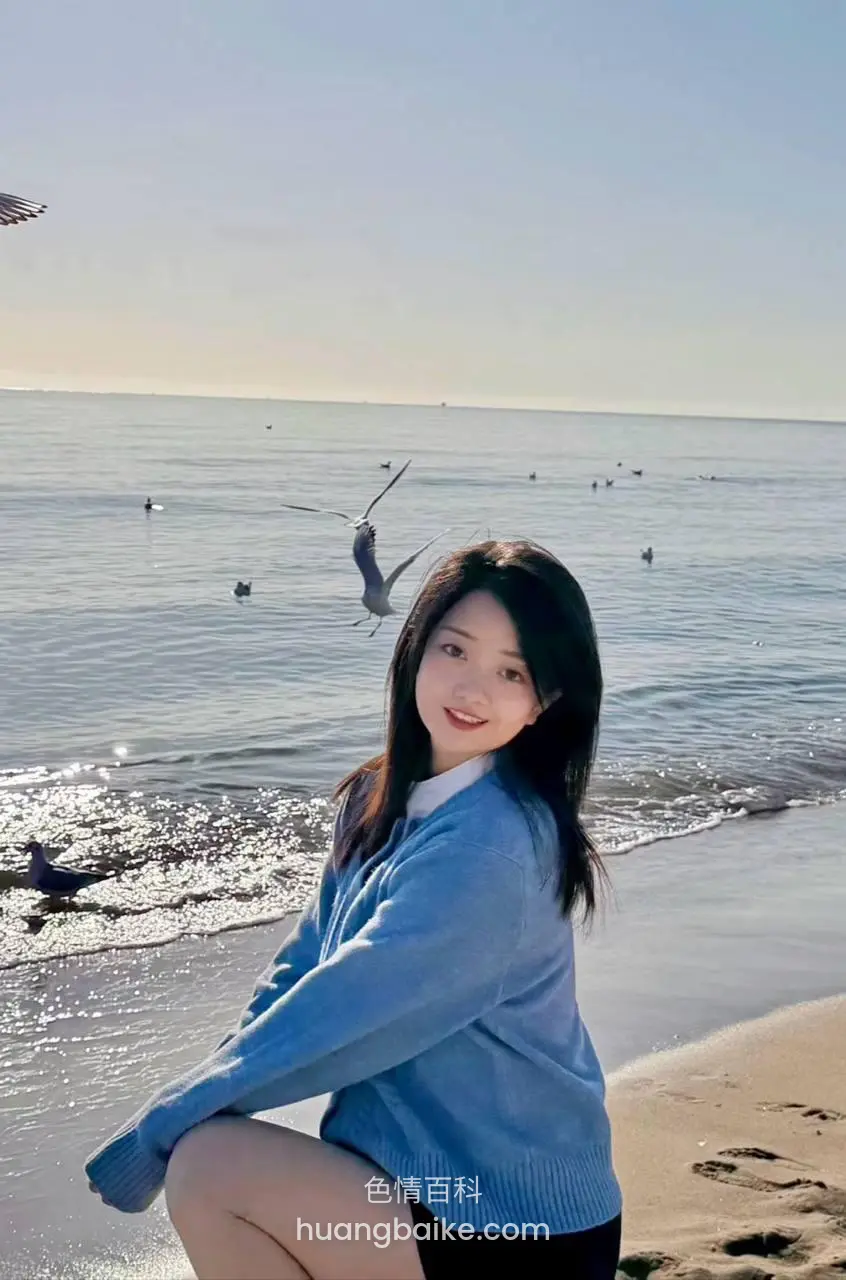 海边沙滩镜头对着身后海鸥