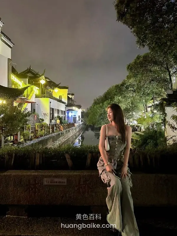 夜间河边白墙黑瓦建筑
