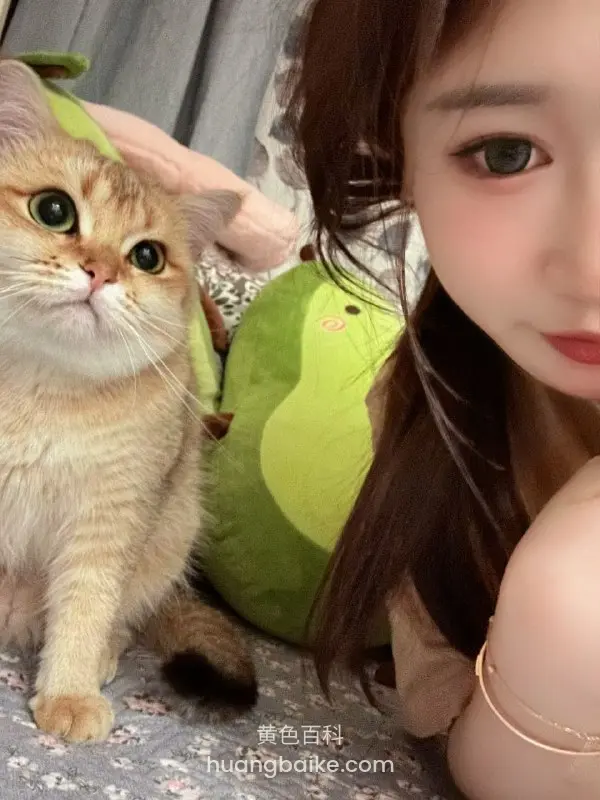 金渐层猫和长发女孩自拍