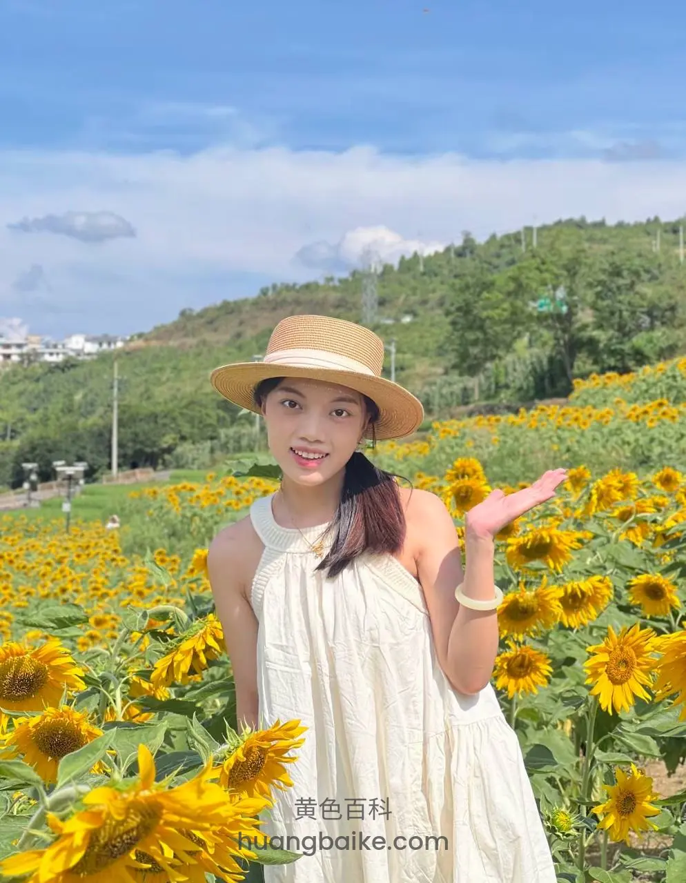 向日葵田里伸出手掌