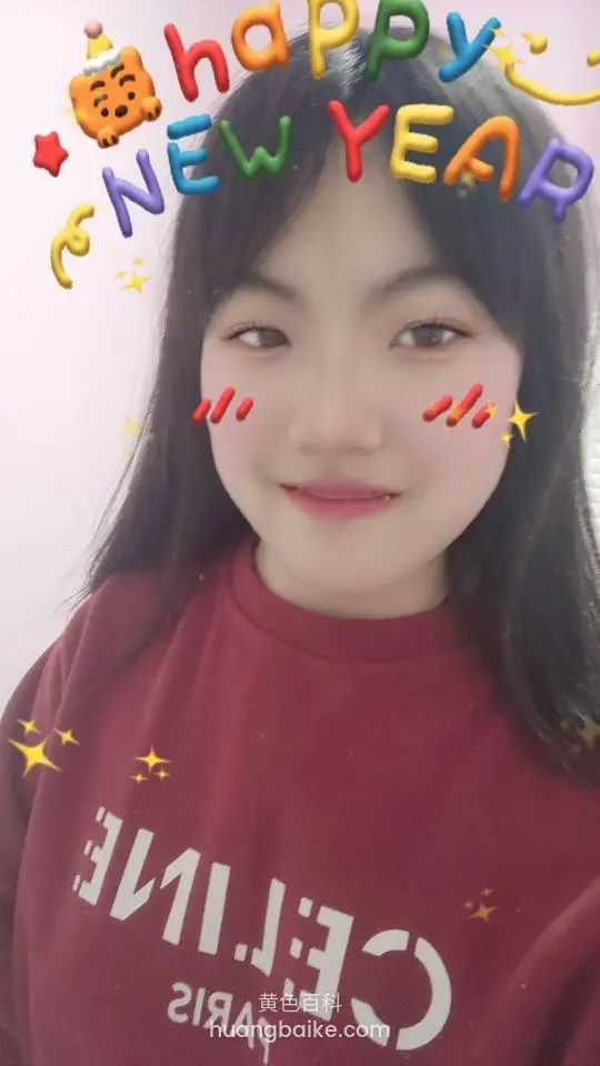 happy new year 贴纸脸部特写