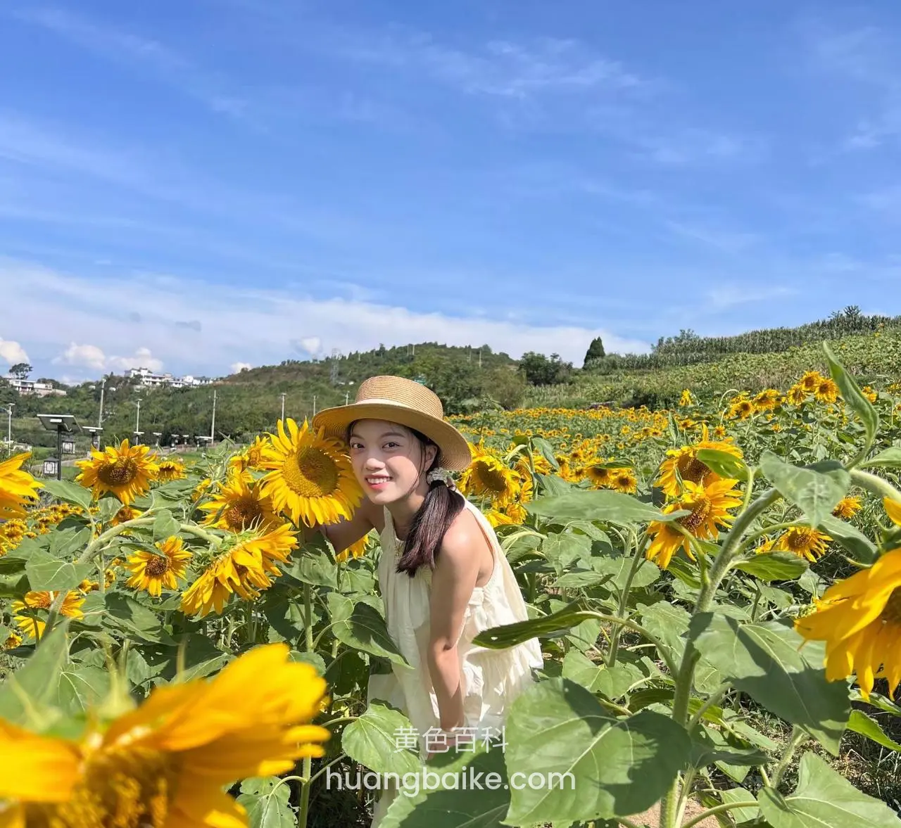 手里拿着向日葵花