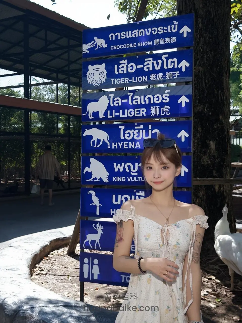 动物园指示牌前站着，上面写着CROCODILE SHOW TIGER-LION LI-LIGER HYENA