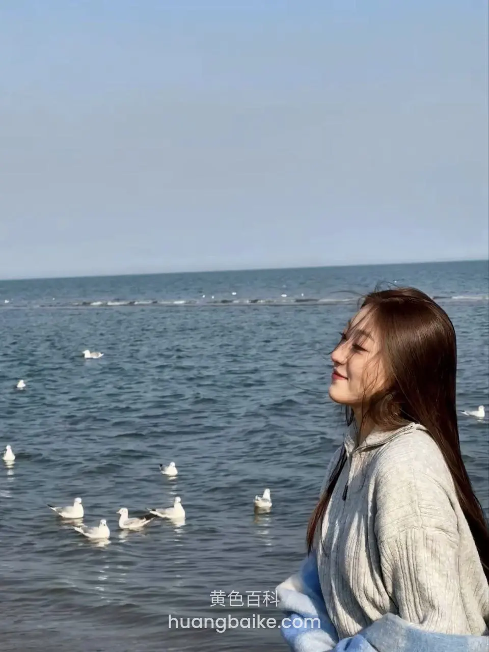 海边侧身看海里海鸥