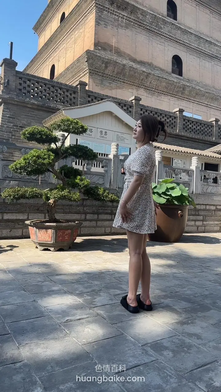 镜头对着寺庙前盆栽
