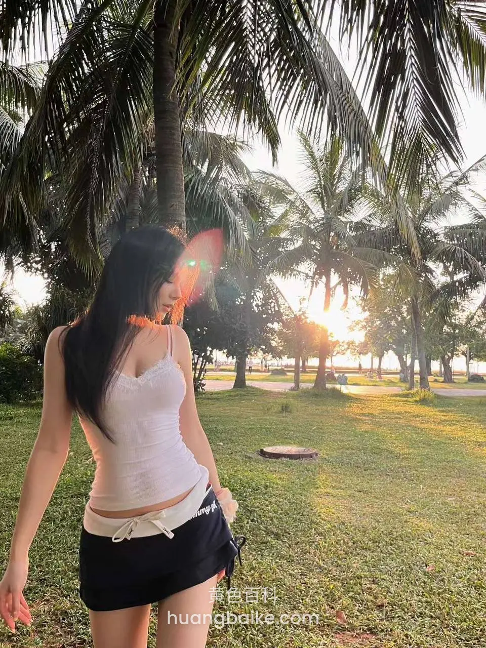 棕榈树林草坪上，夕阳镜头对着