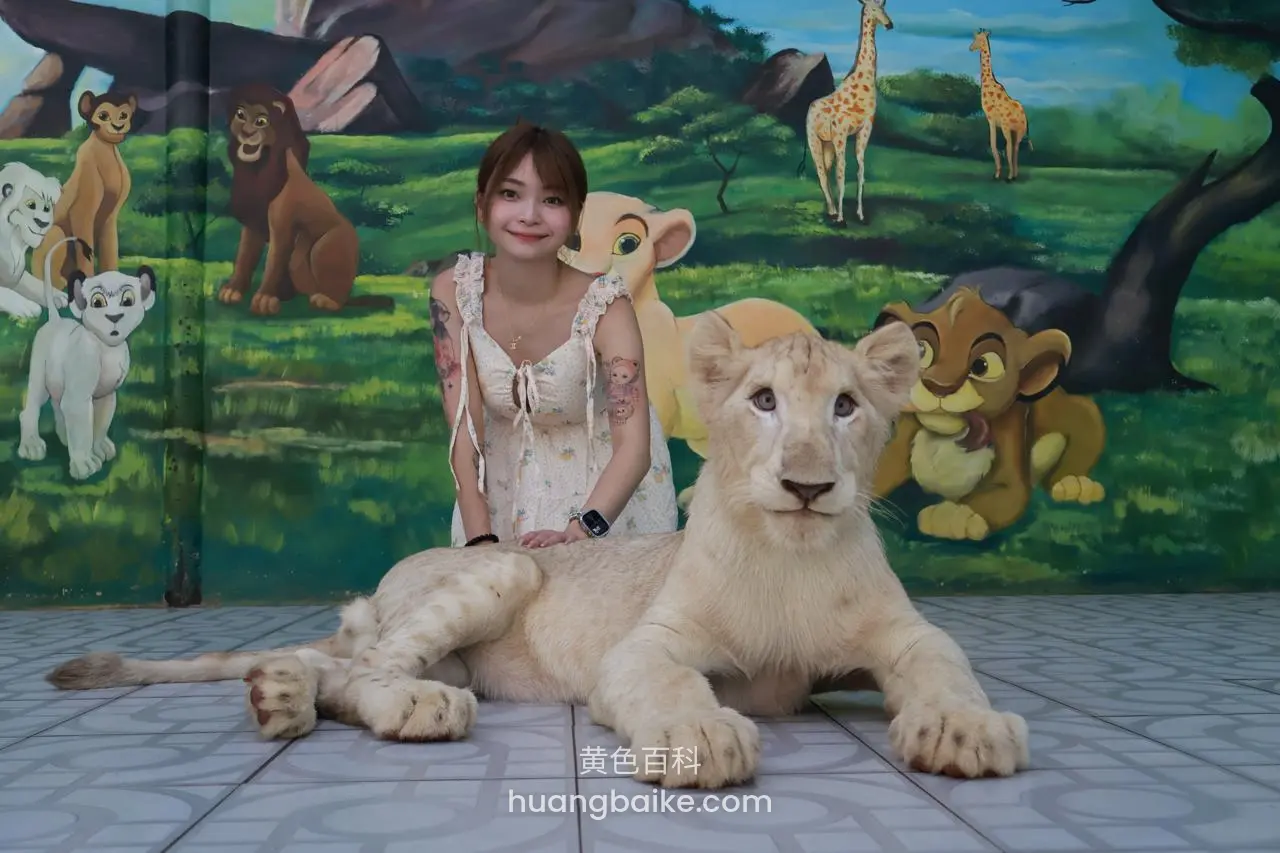 白狮子趴在地上，身后是狮子王主题墙