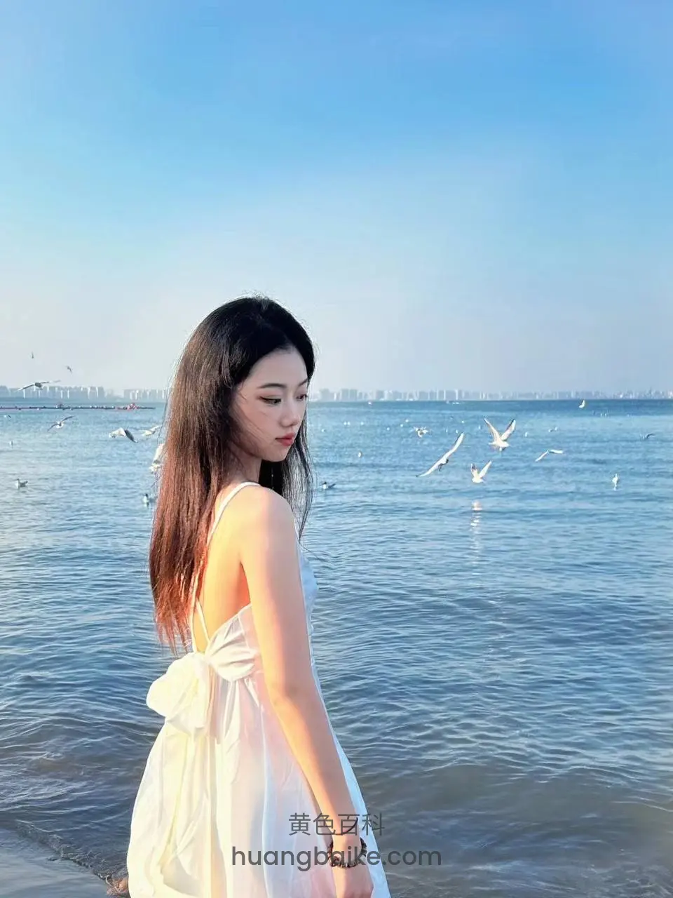 海边回头看海鸥