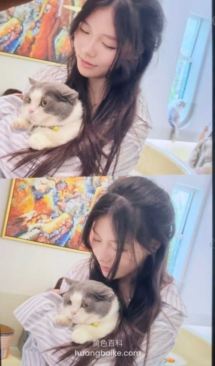 抱着猫低头看猫咪