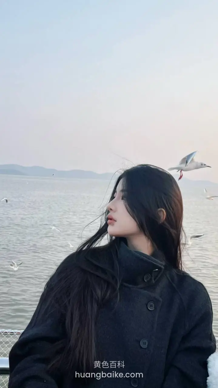 湖边侧头看海鸥