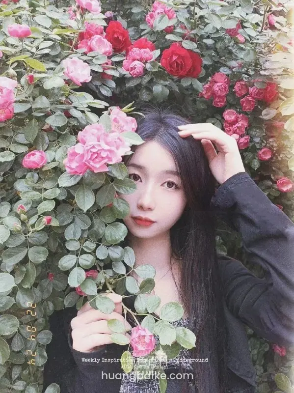 玫瑰花丛里的黑衣女孩