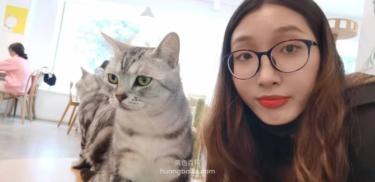 咖啡厅和猫并排，镜头对着脸
