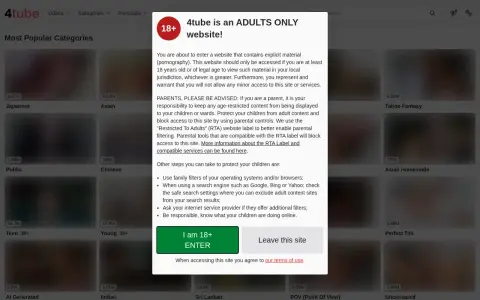 4tube 首页截图