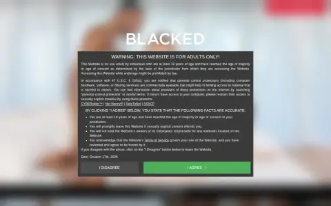 Blacked 首页截图