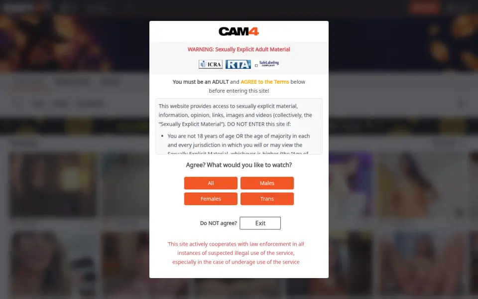 CAM4 首页截图