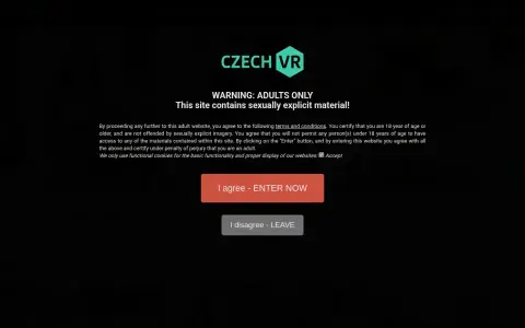 Czech VR 首页截图