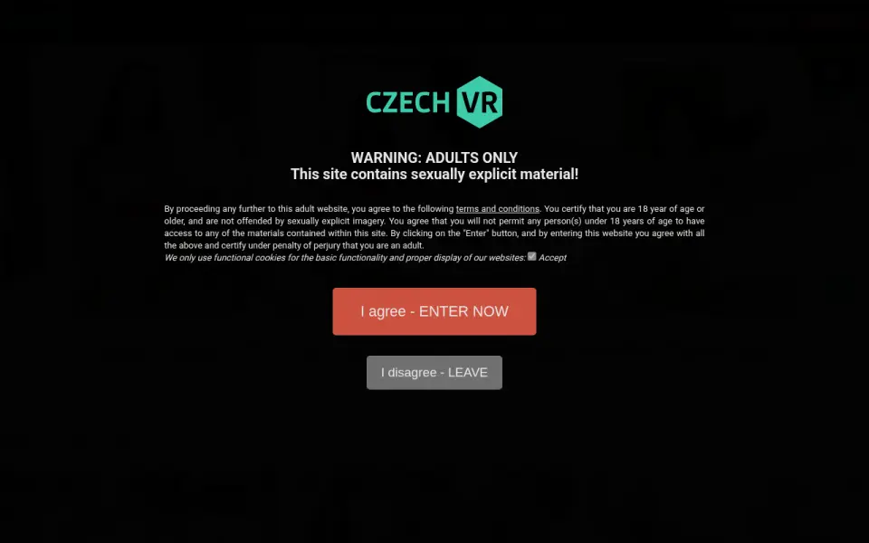 Czech VR 首页截图