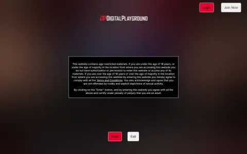 Digital Playground 首页截图