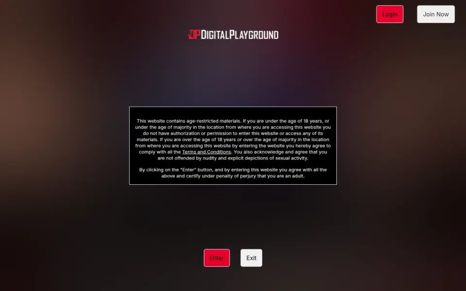 Digital Playground 首页截图