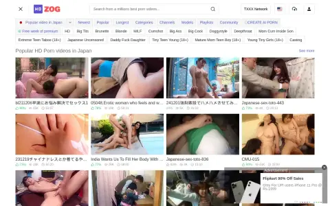 HDZog 首页截图