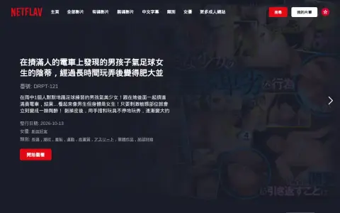 Netflav 首页截图
