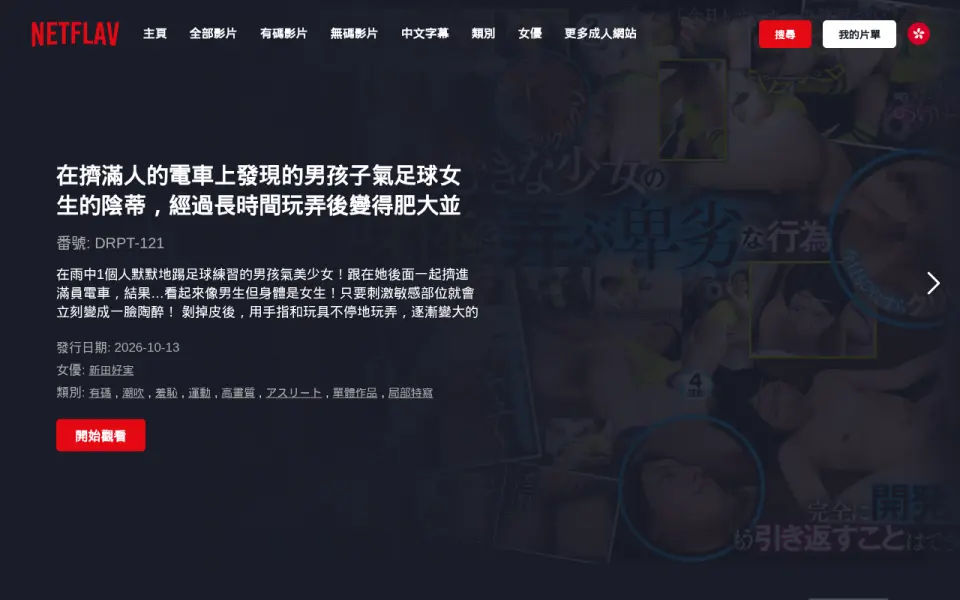 Netflav 首页截图