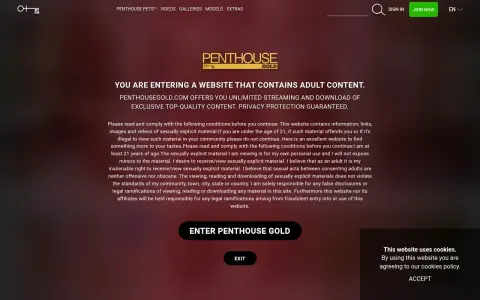 Penthouse Gold 首页截图