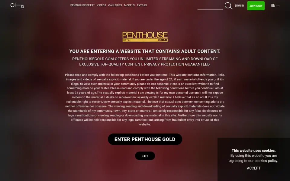 Penthouse Gold 首页截图