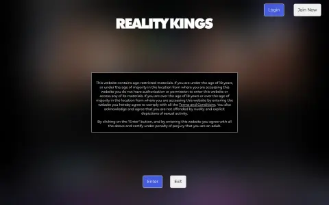Reality Kings 首页截图