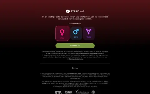 Stripchat 首页截图