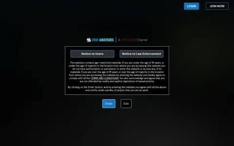 True Amateurs 首页截图