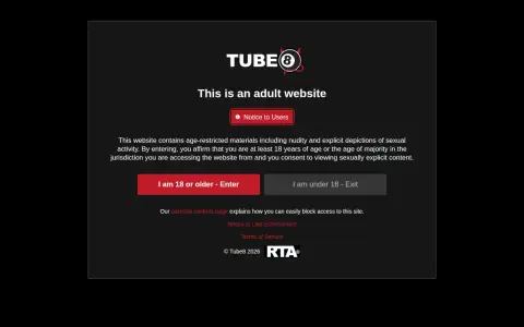 Tube8 首页截图