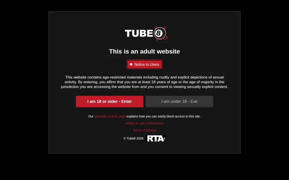 Tube8 首页截图