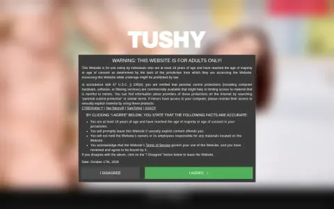 Tushy 首页截图