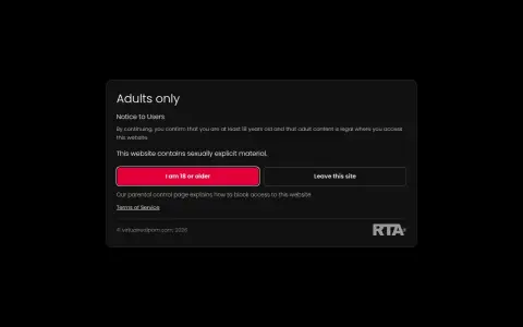 VirtualRealPorn 首页截图