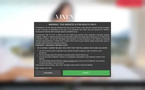 Vixen 首页截图